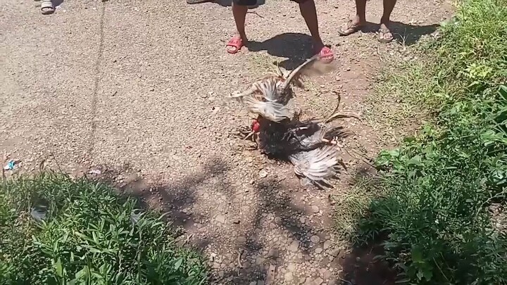ok lag ka nok