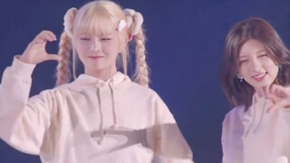 IVE 230318日本FM新歌Not Your Girl官方直播舞台