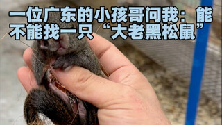 一位广州小孩哥问我能不能掏窝一只巨黑无比的松鼠，最后掏出来的这是什么造型
