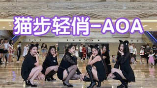 【性感小野猫】猫步轻俏-AOA (Kpop in public成都环球中心路演共享舞台)
