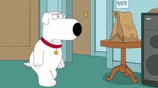 【恶搞之家】可爱狗狗布莱恩Brian