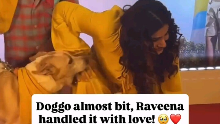 Raveena Tandon gets almost bitten by a dog but she handles the situation calmly and gracefully