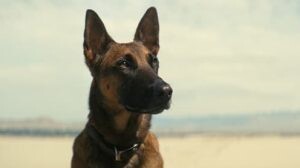 Fallout epsoide 7 [Sub Indo]