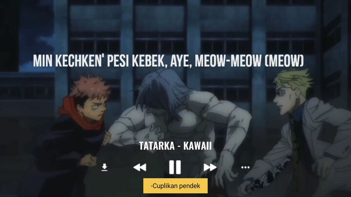 Music lyric, TATARKA-KAWAII.