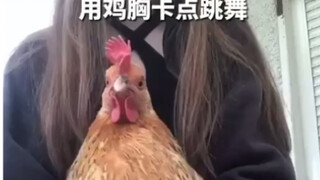 哈哈哈哈哈不知道为什么但就是好想笑