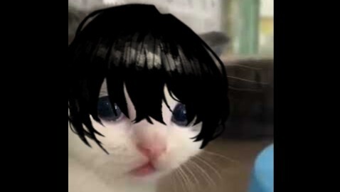 [Monthly Count Meme] Jail House Bus, but the sinners are cats