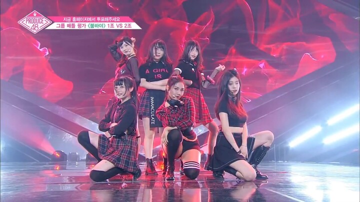 Produce 48 Boombayah cover