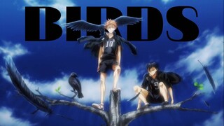 Haikyuu [AMV] - Birds