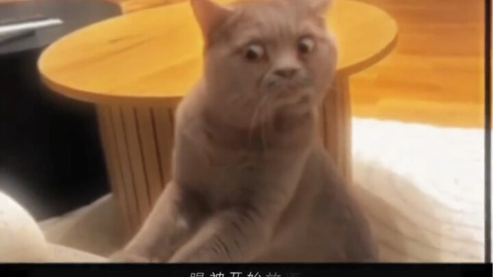 Cầu thủ quốc gia 1573