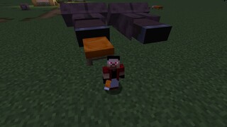 how do giant villagers sleep.....