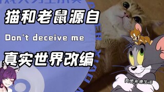 嚣张猫咪气晕狗？影帝老鼠骗过猫！原来猫和老鼠真的是部纪录片