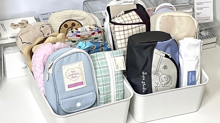 ✨Who Gets the Joy of Owning a Whole Bunch of Budget-Friendly, Beautiful Pencil Cases? 3.0