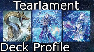 Top 64 Euros Tearlament Danger!?!? Deck Profile - Ammad Raja Yu-Gi-Oh! 2022