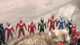 What mistake did the little kitten make? It requires so many Ultraman to punish it.