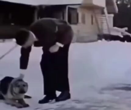 A regular German elderly man petting his dog—why does he look so familiar?