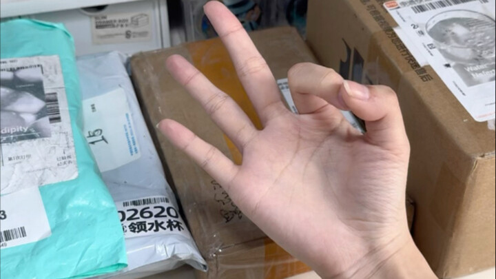 Unboxing Surprise Bags of Merchandise at Different Price Points