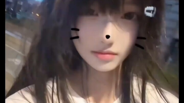“สมุดบันทึกสาวหวาน” สาวน้อยน่ารักสวยใสสุดคิวต์【หมาขี้แพ้ถูกเชือดไปหนึ่งมีด】