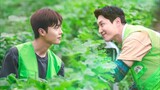 Love Tractor ep 3 eng sub