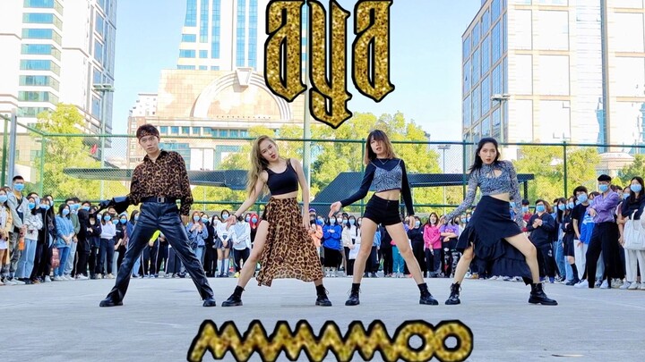 【กลุ่มร้องตาม】MAMAMOO - AYA ร้องตามใครในโชว์เคสเต้น | ฉากหนีออกจากสวนสัตว์