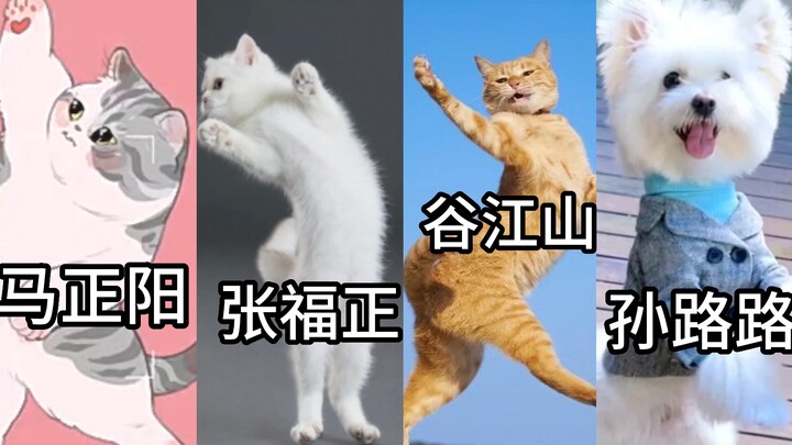 【配音舞姬之张福正舞蹈室】抬眼一看：全是显眼包