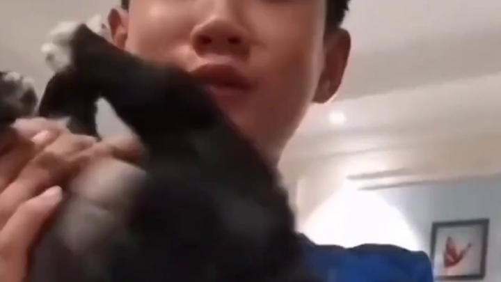 Son brings home a stray dog, and two years later becomes an "ambassador" for rescuing homeless anima