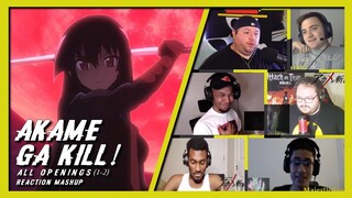 AKAME GA KILL! ALL OPENINGS | REACTION MASHUP😱