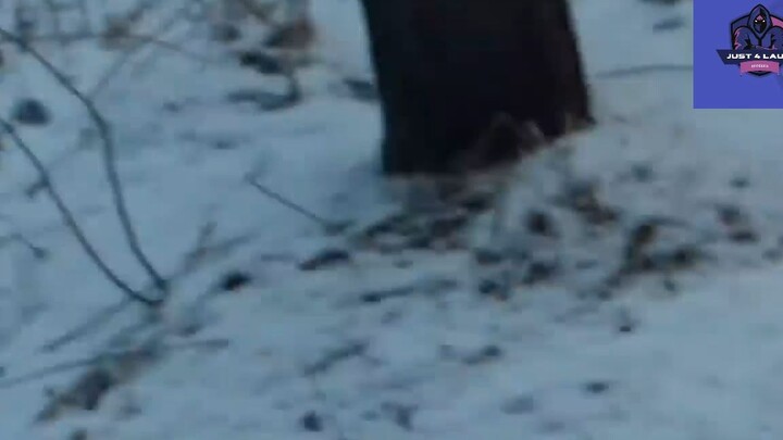 Cười mỗi ngày cùng tôi ! #videohaihuoc