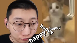 เมื่อปลาคาร์ปเอซค้นพบแมวแฮปปี้☀️