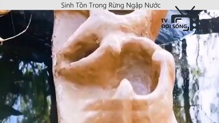 Sinh tồn trong rừng ngập nước p6