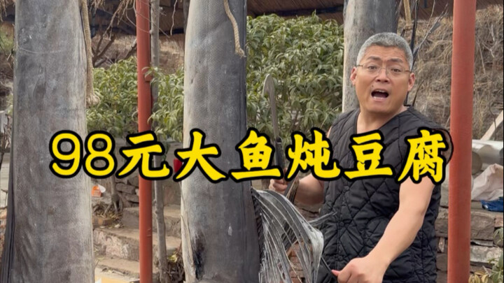 98 Yuan Big Fish Stewed with Tofu