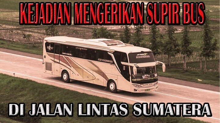 KEJADIAN MENGERIKAN SUPIR BUS DI JALAN LINTAS SUMATERA - CERITA HOROR - KISAH HOROR - CERITA MISTIS