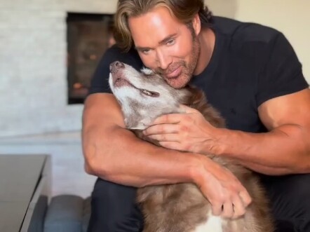 King Dali vs. King Big Dog