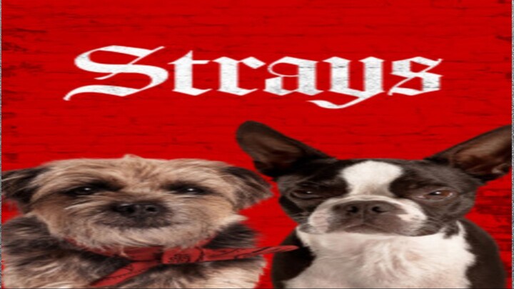 Strays___Official_Trailer_Watch full movie: Link in Description