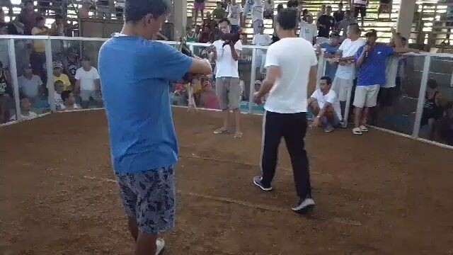 bulik na pabalikbalik 3rd fight scratch sa daliri hackfight