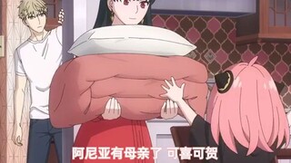 Anya circulation