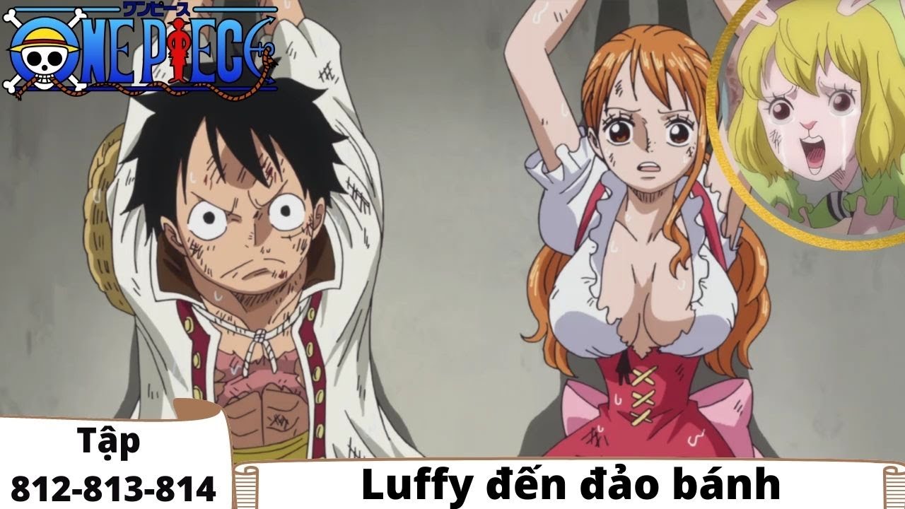 One Piece Tập 812 813 814 Luffy đến đảo Banh đảo Hải Tặc Tom Tắt Anime Bstation