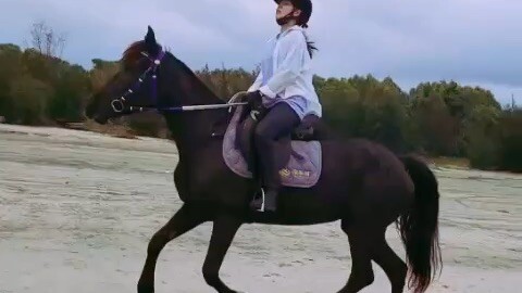 Riding a horse on the beach.hhhhhh