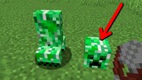 is it possible to take the head of a creeper?