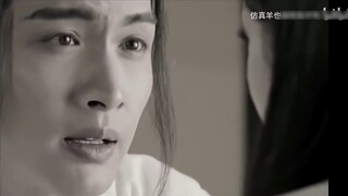 [Xiao Zhan x Dilraba] [Anh họ Wanfu] Tiểu thuyết Amway