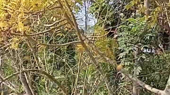 দেখুন ভিডিওটা কত সুন্দর