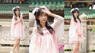 人间匆忙 与君共赏❀花月成双☽  【竖屏】