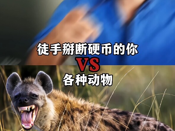 Anda yang mampu mematahkan koin dengan tangan kosong vs berbagai macam hewan