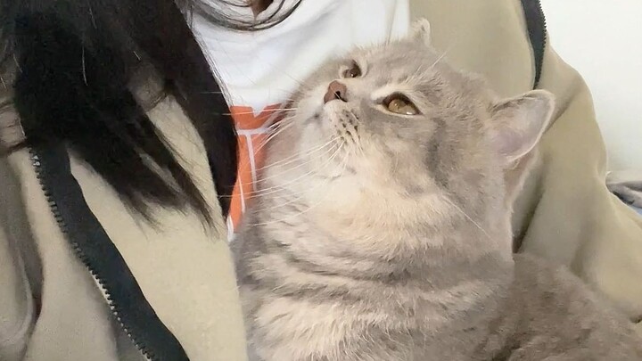 Dia sangat menyukainya