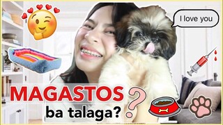 DAPAT MO TANDAAN BAGO KA BUMILI NG SHIH TZU | MAGASTOS BA TALAGA MAG ALAGA NG SHIH TZU?