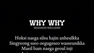 WHY WHY by Shannon (crdts to the owner of the video)
