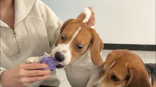 Even if my skin is peeled off today, I can’t miss a bite of you!
