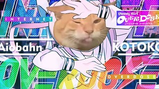 猫娘猫爹重度依赖