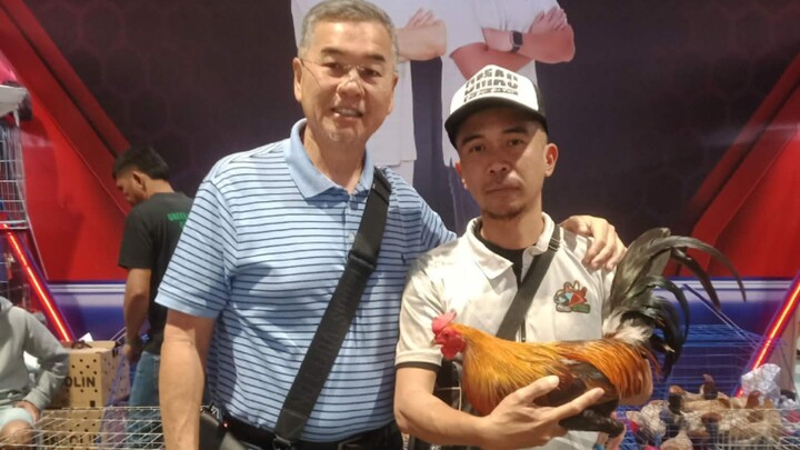 escolin Boston vs ju super white