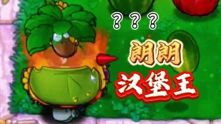 hello…西瓜朗朗