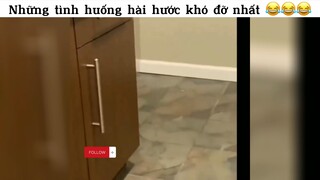 Cười bể bụng với các thánh hài